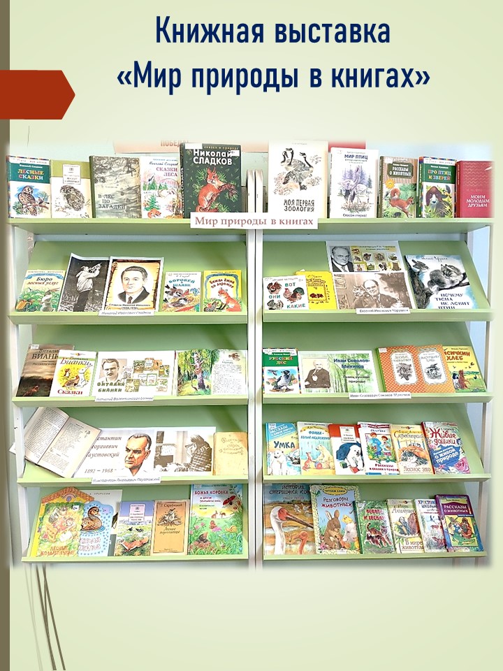книжная выставка эко.jpg книжная выставка эко.jpg