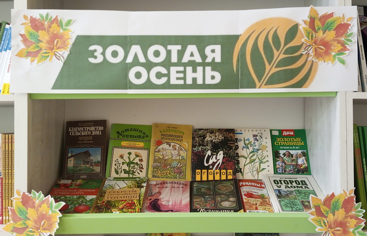 Золотая осень