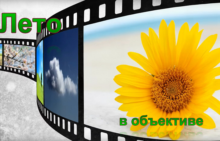 «Лето в объективе»