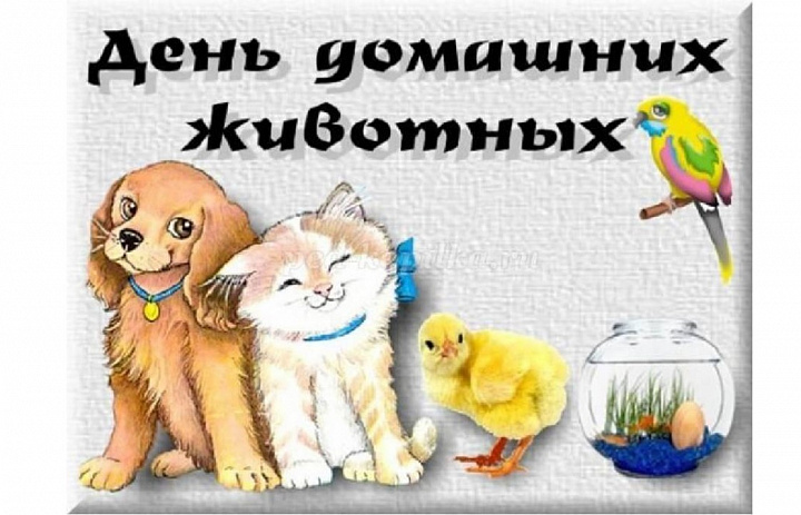 «Мой самый верный друг»