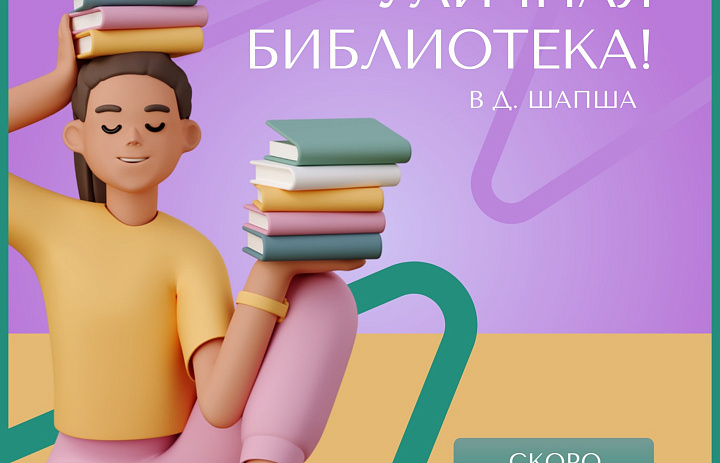 Уличная библиотека Шапша